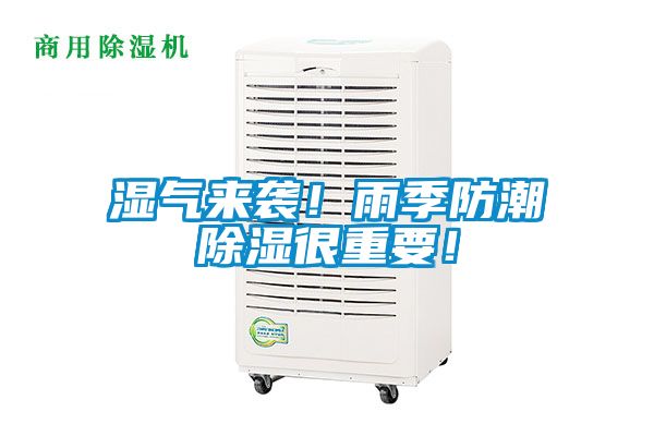 濕氣來襲！雨季防潮除濕很重要！