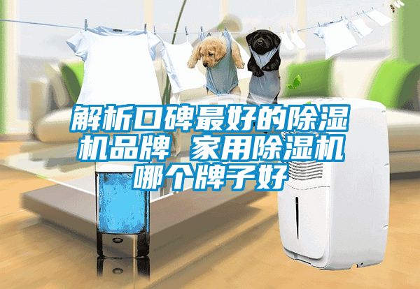 解析口碑最好的除濕機(jī)品牌 家用除濕機(jī)哪個(gè)牌子好