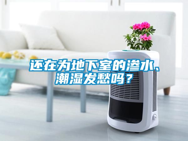 還在為地下室的滲水、潮濕發(fā)愁嗎？