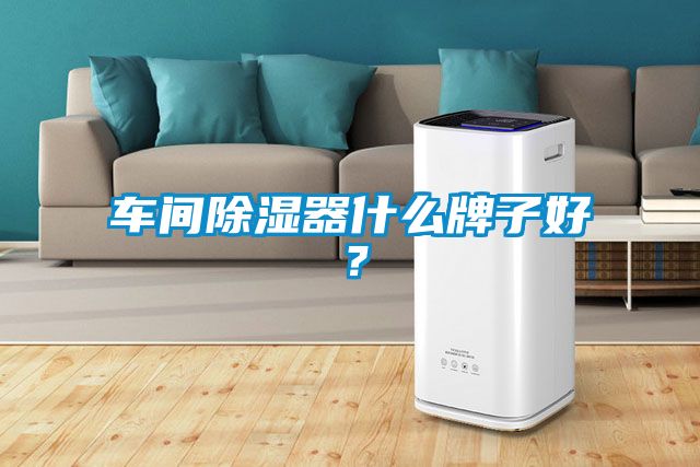 車(chē)間除濕器什么牌子好？