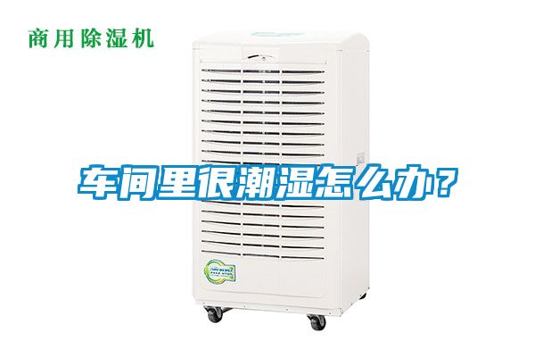 車(chē)間里很潮濕怎么辦？