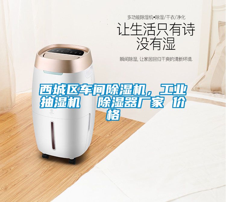 西城區(qū)車間除濕機(jī)，工業(yè)抽濕機(jī)  除濕器廠家 價(jià)格