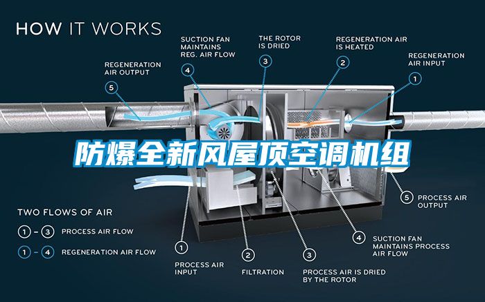 防爆全新風(fēng)屋頂空調(diào)機組
