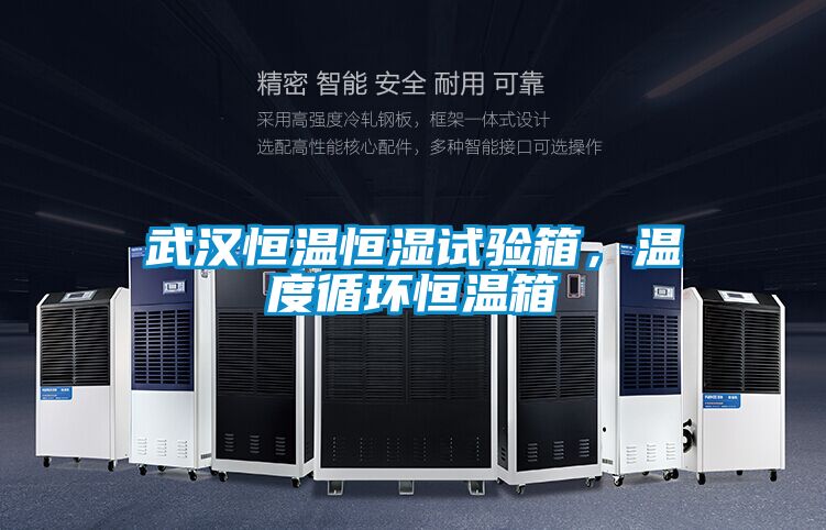 武漢恒溫恒濕試驗(yàn)箱，溫度循環(huán)恒溫箱