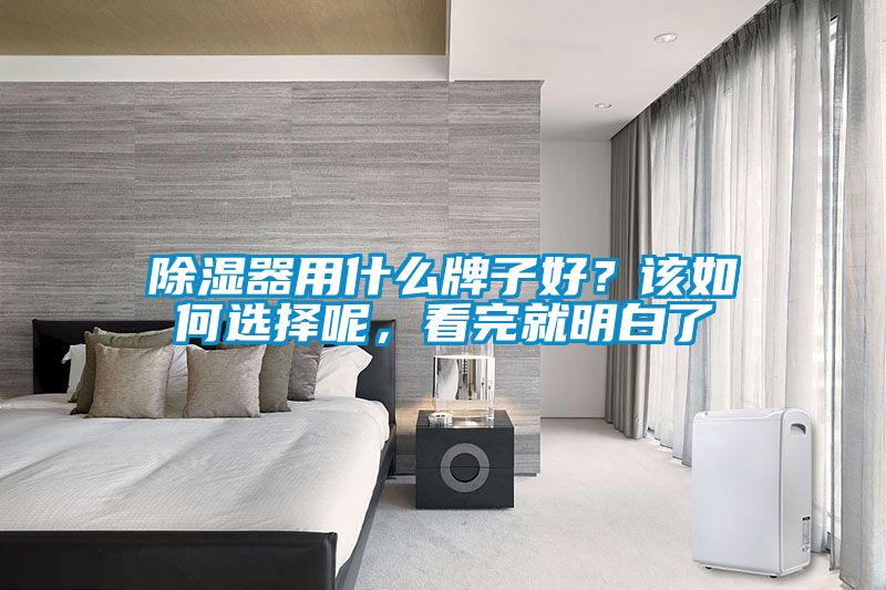 除濕器用什么牌子好？該如何選擇呢，看完就明白了