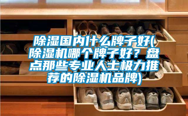 除濕國內(nèi)什么牌子好(除濕機哪個牌子好？盤點那些專業(yè)人士極力推薦的除濕機品牌)