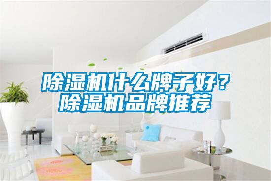 除濕機什么牌子好？除濕機品牌推薦