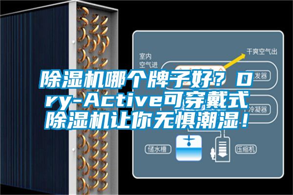 除濕機(jī)哪個(gè)牌子好？Dry-Active可穿戴式除濕機(jī)讓你無懼潮濕！