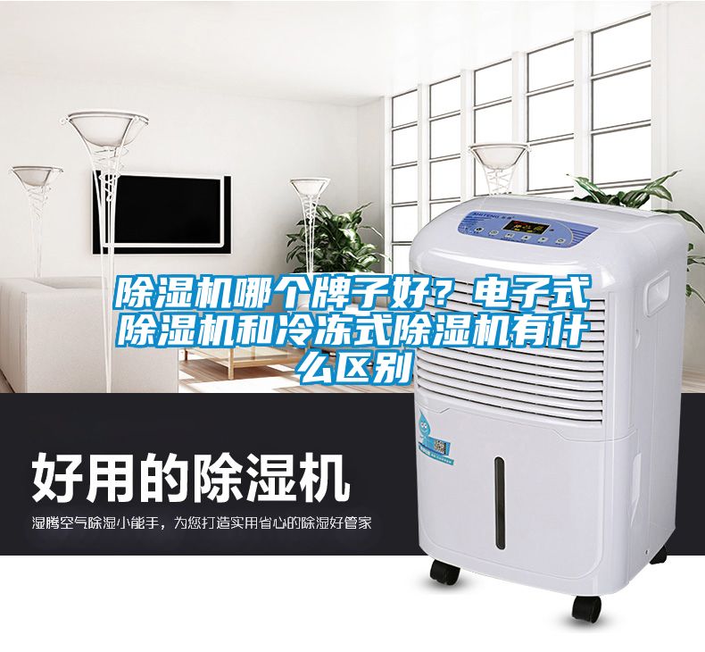 除濕機(jī)哪個(gè)牌子好？電子式除濕機(jī)和冷凍式除濕機(jī)有什么區(qū)別