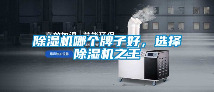 除濕機(jī)哪個(gè)牌子好，選擇除濕機(jī)之王