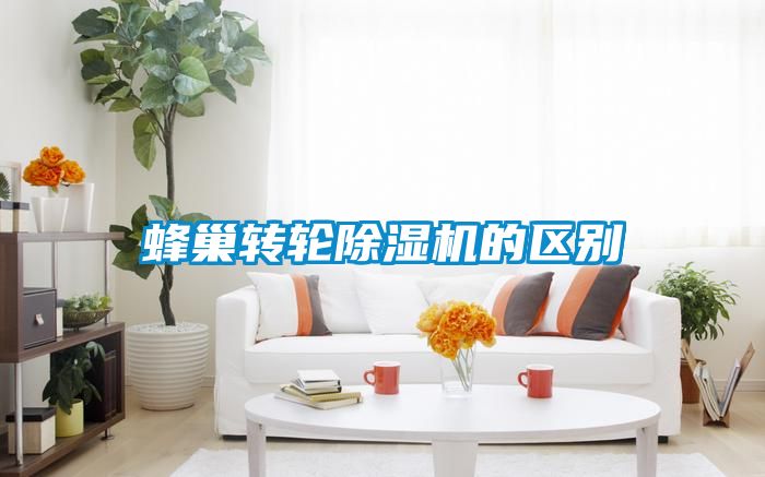 蜂巢轉(zhuǎn)輪除濕機(jī)的區(qū)別