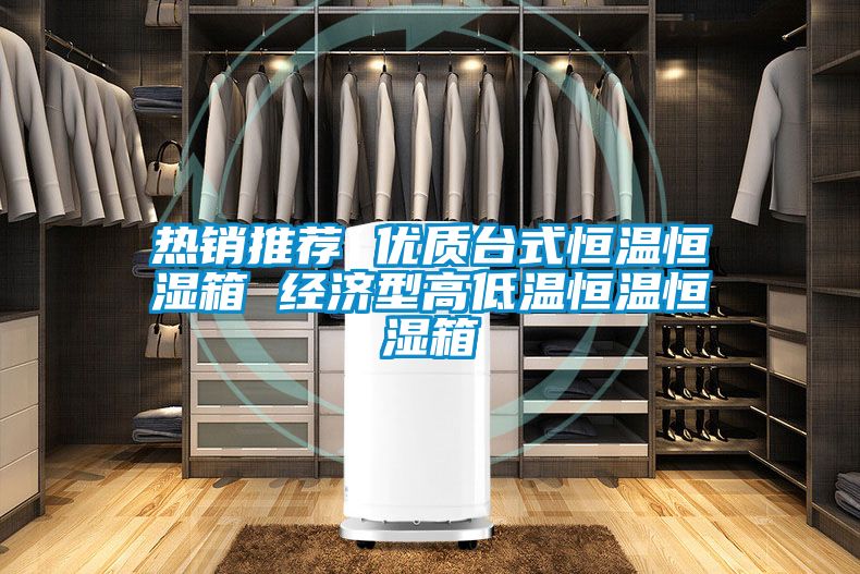 熱銷推薦 優(yōu)質(zhì)臺式恒溫恒濕箱 經(jīng)濟(jì)型高低溫恒溫恒濕箱