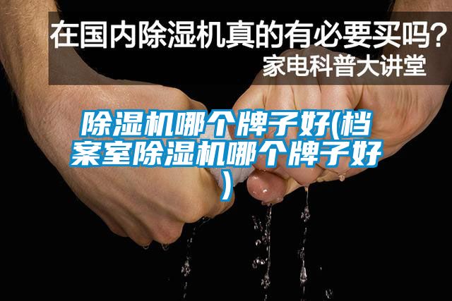 除濕機(jī)哪個牌子好(檔案室除濕機(jī)哪個牌子好)