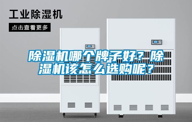 除濕機(jī)哪個(gè)牌子好？除濕機(jī)該怎么選購(gòu)呢？