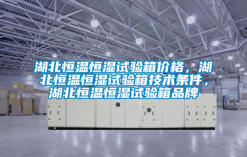 湖北恒溫恒濕試驗箱價格，湖北恒溫恒濕試驗箱技術條件，湖北恒溫恒濕試驗箱品牌