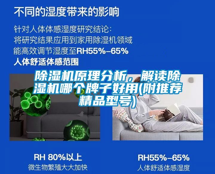 除濕機原理分析，解讀除濕機哪個牌子好用(附推薦精品型號)
