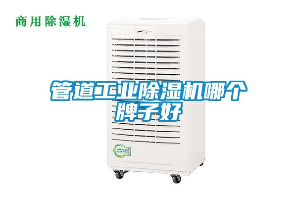 管道工業(yè)除濕機(jī)哪個(gè)牌子好