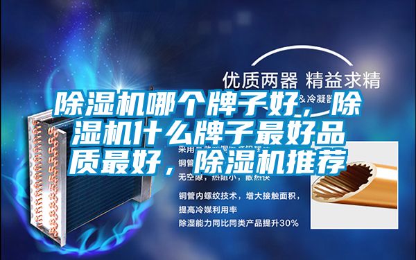 除濕機(jī)哪個(gè)牌子好，除濕機(jī)什么牌子最好品質(zhì)最好，除濕機(jī)推薦