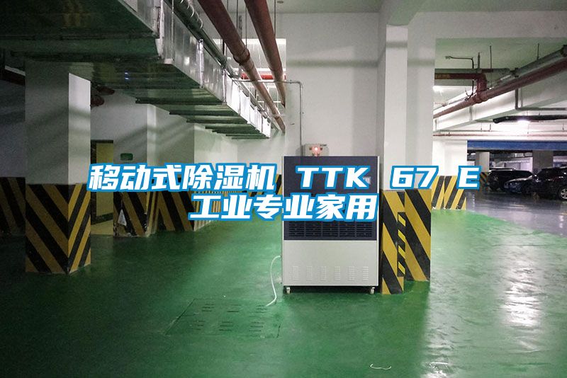 移動(dòng)式除濕機(jī) TTK 67 E工業(yè)專業(yè)家用