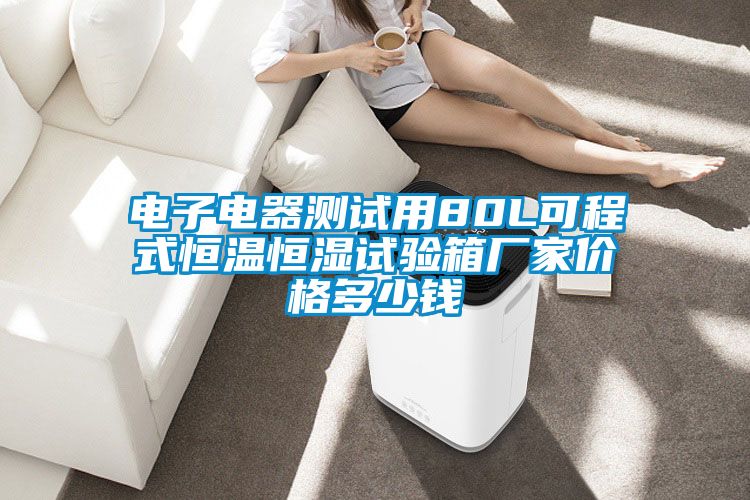 電子電器測(cè)試用80L可程式恒溫恒濕試驗(yàn)箱廠家價(jià)格多少錢(qián)