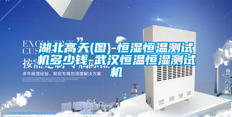 湖北高天(圖)-恒濕恒溫測(cè)試機(jī)多少錢(qián)-武漢恒溫恒濕測(cè)試機(jī)