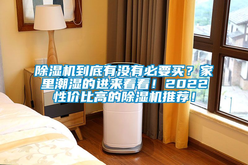 除濕機(jī)到底有沒有必要買？家里潮濕的進(jìn)來看看！2022性價比高的除濕機(jī)推薦！