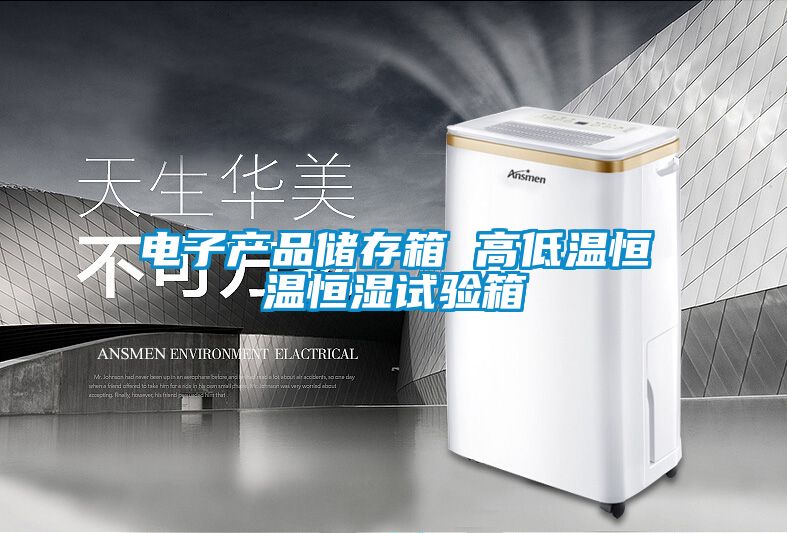 電子產(chǎn)品儲存箱 高低溫恒溫恒濕試驗箱