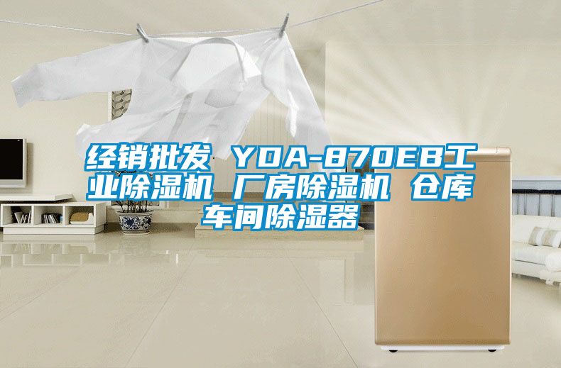 經(jīng)銷批發(fā) YDA-870EB工業(yè)除濕機(jī) 廠房除濕機(jī) 倉(cāng)庫(kù)車間除濕器