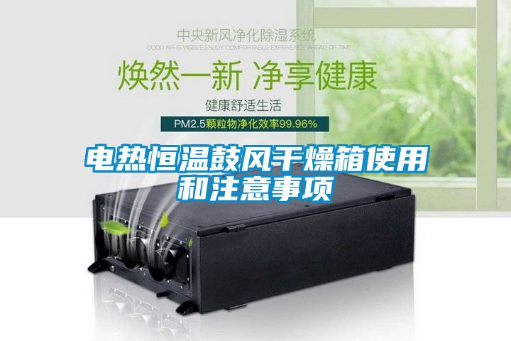 電熱恒溫鼓風(fēng)干燥箱使用和注意事項