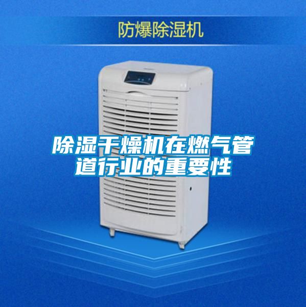 除濕干燥機(jī)在燃?xì)夤艿佬袠I(yè)的重要性