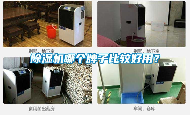 除濕機(jī)哪個(gè)牌子比較好用？