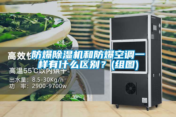 防爆除濕機和防爆空調(diào)一樣有什么區(qū)別？(組圖)