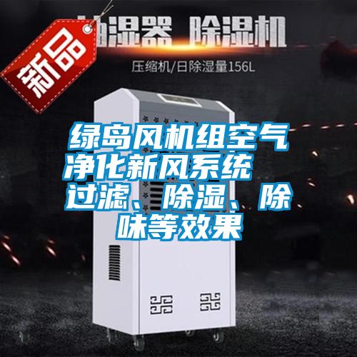 綠島風(fēng)機(jī)組空氣凈化新風(fēng)系統(tǒng)  過(guò)濾、除濕、除味等效果