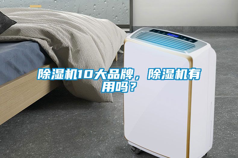 除濕機(jī)10大品牌，除濕機(jī)有用嗎？