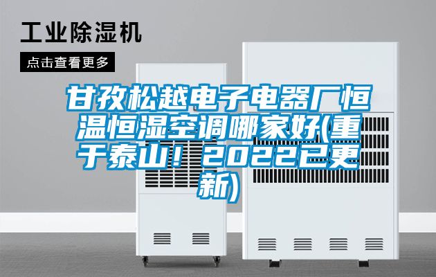 甘孜松越電子電器廠恒溫恒濕空調(diào)哪家好(重于泰山！2022已更新)
