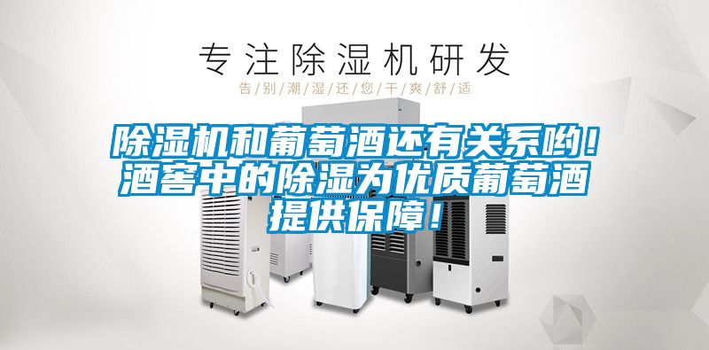 除濕機和葡萄酒還有關(guān)系喲！酒窖中的除濕為優(yōu)質(zhì)葡萄酒提供保障！