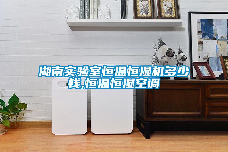 湖南實(shí)驗(yàn)室恒溫恒濕機(jī)多少錢,恒溫恒濕空調(diào)