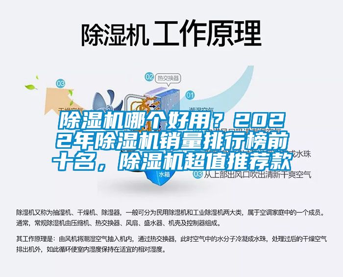 除濕機哪個好用？2022年除濕機銷量排行榜前十名，除濕機超值推薦款