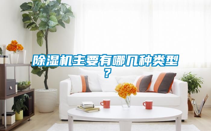 除濕機主要有哪幾種類型？