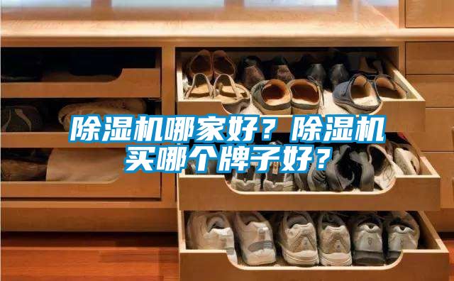 除濕機哪家好？除濕機買哪個牌子好？