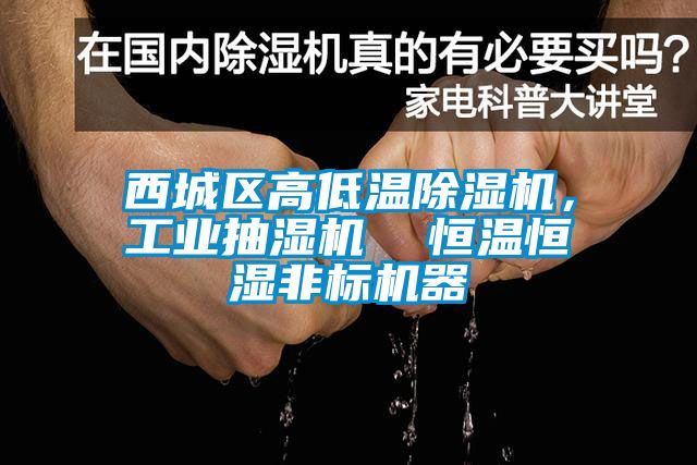 西城區(qū)高低溫除濕機(jī)，工業(yè)抽濕機(jī)  恒溫恒濕非標(biāo)機(jī)器