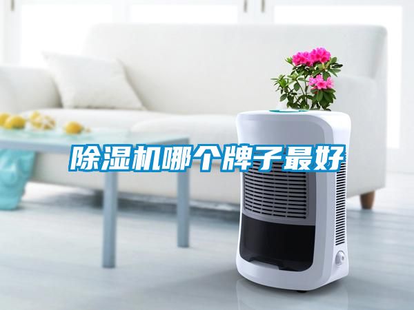 除濕機(jī)哪個牌子最好