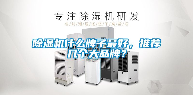 除濕機什么牌子最好，推薦幾個大品牌？