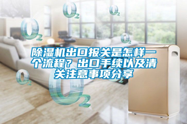 除濕機(jī)出口報(bào)關(guān)是怎樣一個(gè)流程？出口手續(xù)以及清關(guān)注意事項(xiàng)分享