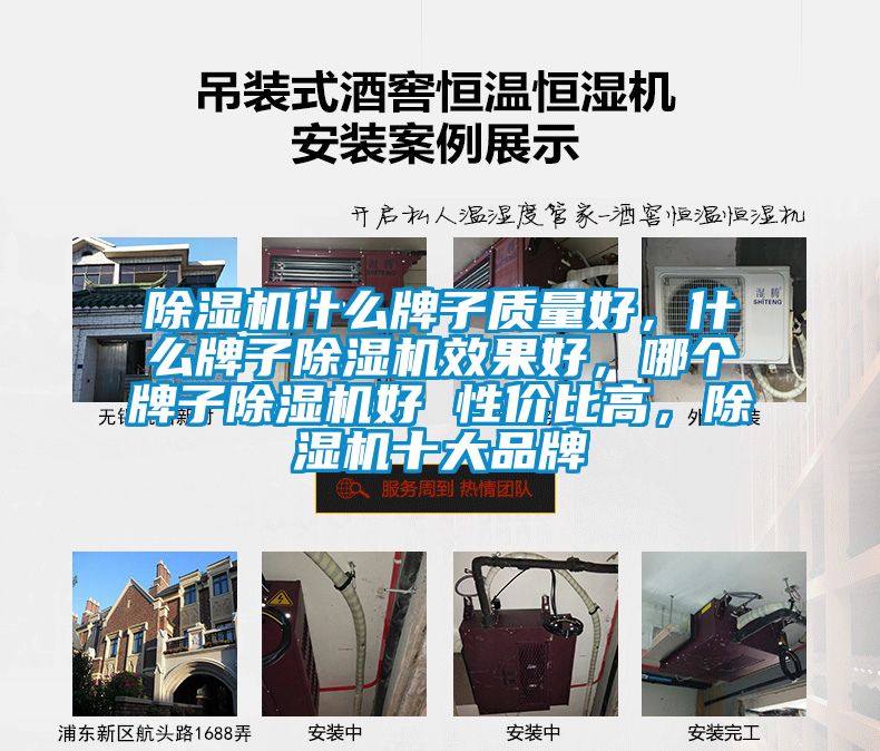 除濕機(jī)什么牌子質(zhì)量好，什么牌子除濕機(jī)效果好，哪個(gè)牌子除濕機(jī)好 性價(jià)比高，除濕機(jī)十大品牌