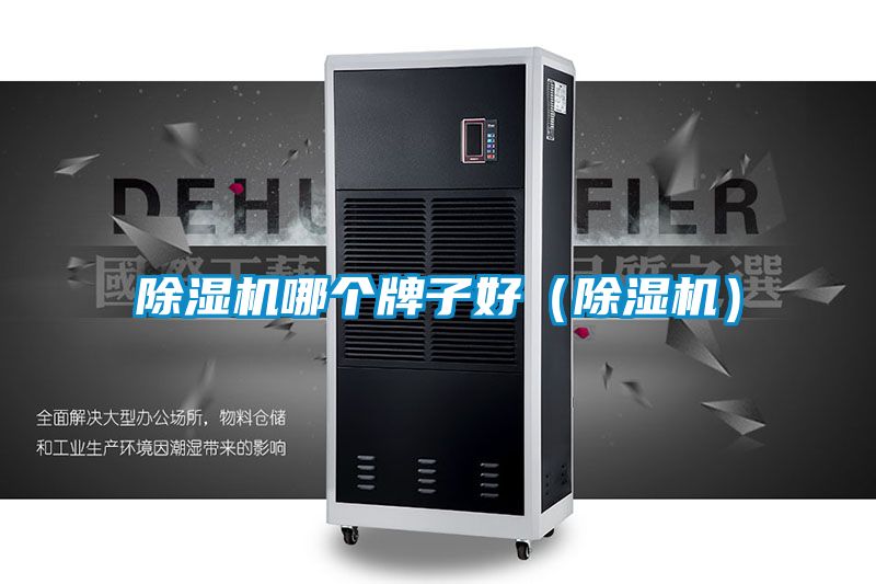 除濕機(jī)哪個(gè)牌子好（除濕機(jī)）