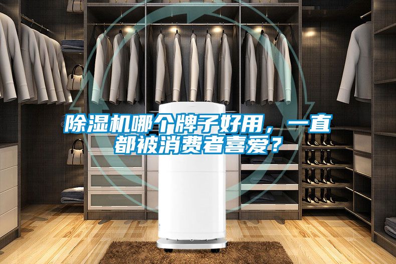 除濕機(jī)哪個(gè)牌子好用，一直都被消費(fèi)者喜愛？
