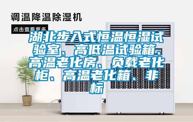 湖北步入式恒溫恒濕試驗(yàn)室、高低溫試驗(yàn)箱、高溫老化房、負(fù)載老化柜、高溫老化箱、非標(biāo)