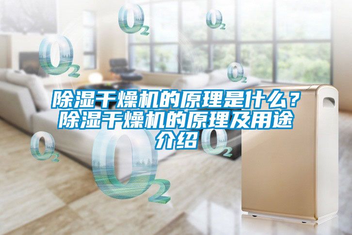 除濕干燥機(jī)的原理是什么？除濕干燥機(jī)的原理及用途介紹