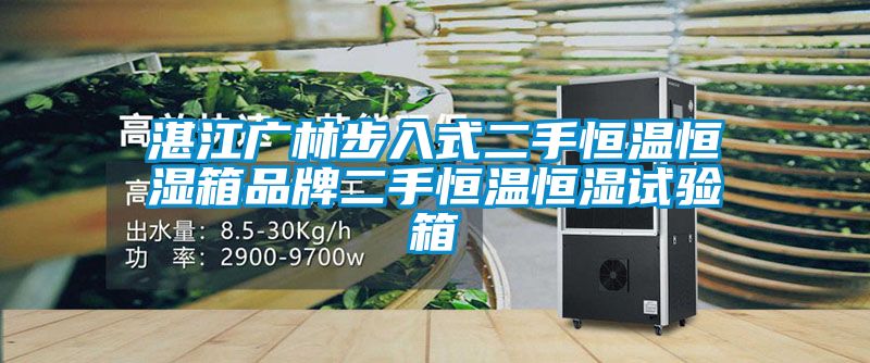 湛江廣林步入式二手恒溫恒濕箱品牌二手恒溫恒濕試驗(yàn)箱